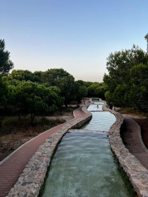 Apartament Viajeros Vinamar VII La Mata  Eksteriør bilde